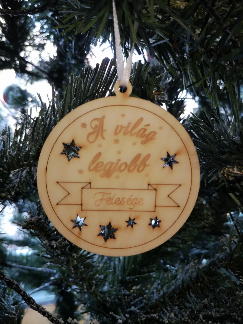 "A világ legjobb Felesége"