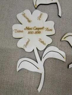 Maci csoport